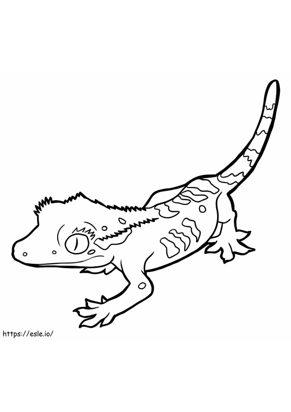 Coloriage Joli gecko à imprimer dessin