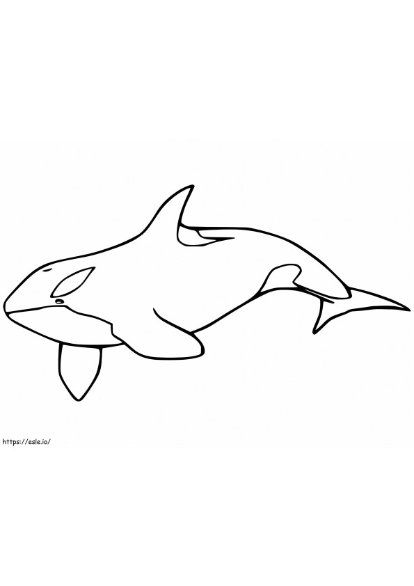 Baleia assassina para impressão para colorir
