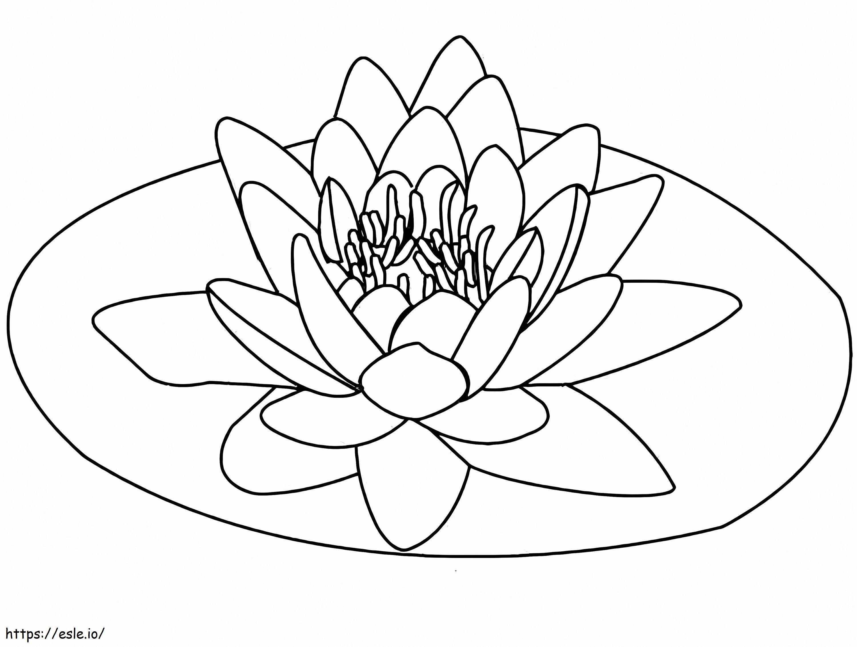Coloriage Lotus pour enfant à imprimer dessin