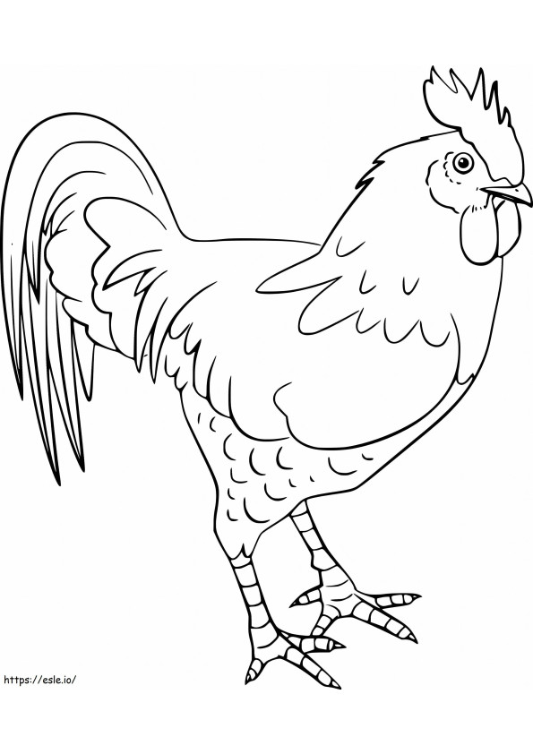 Ayam Jago yang Luar Biasa Gambar Mewarnai