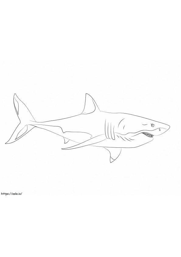 Gran tiburón blanco fácil para colorear