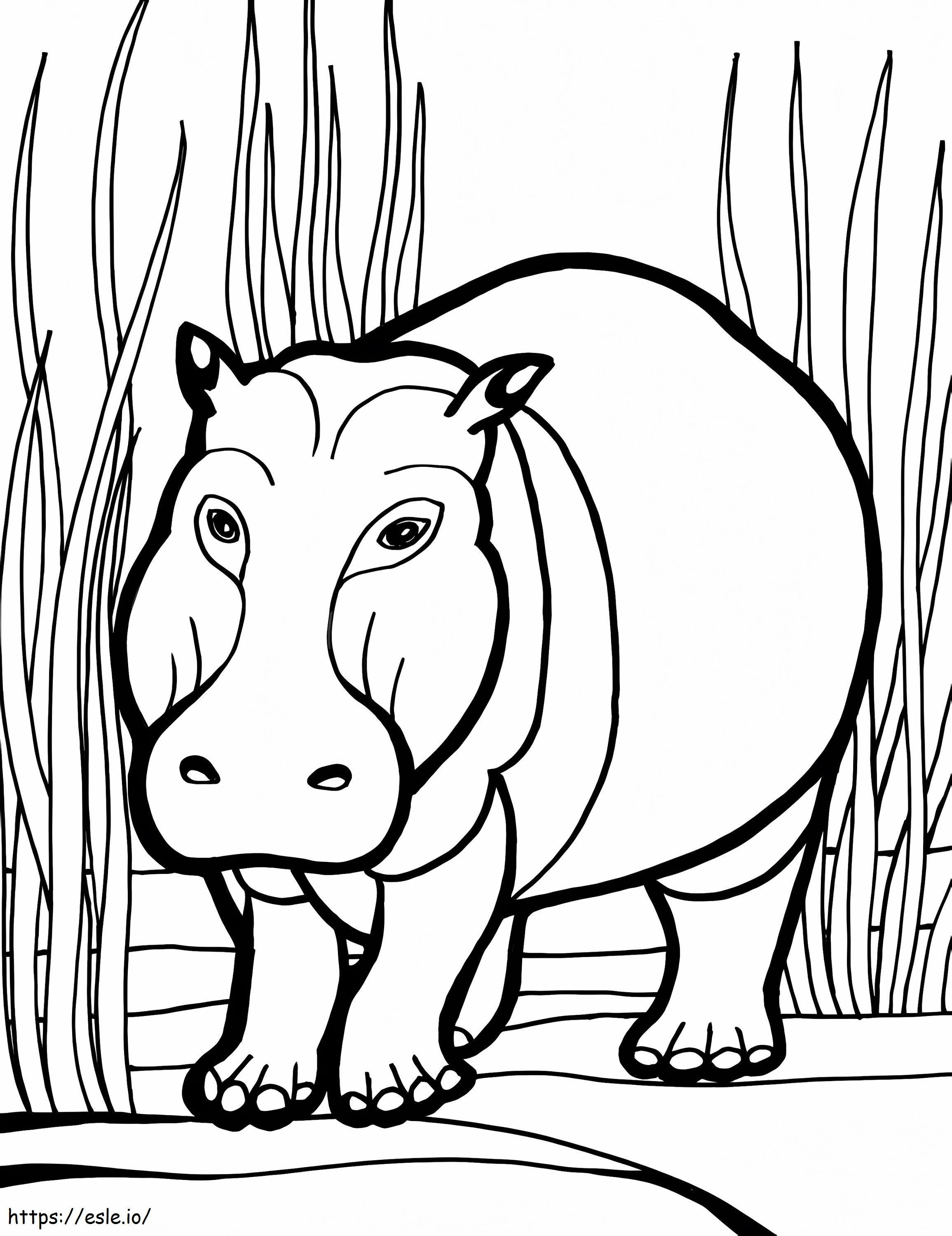 Hipopótamo para colorir
