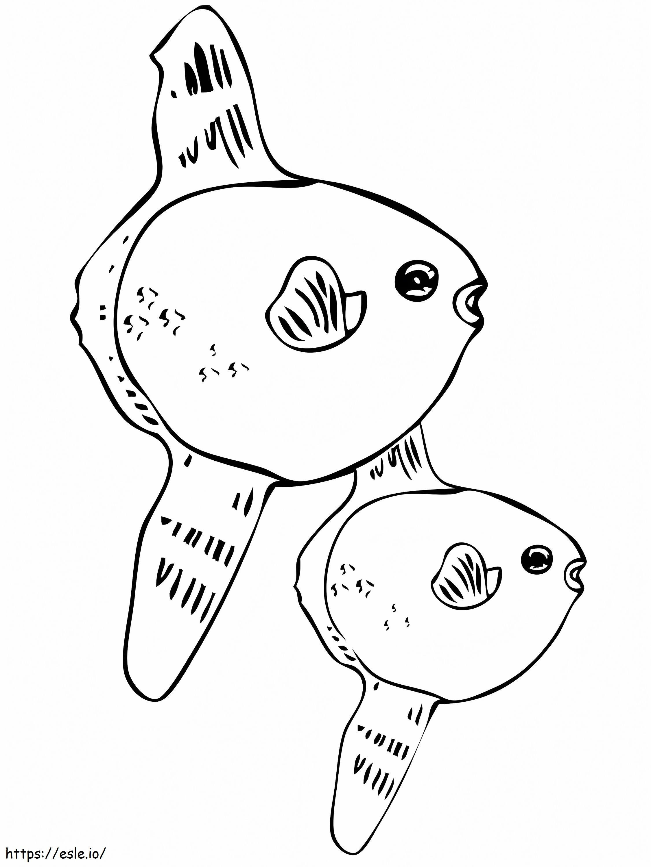Sunfishes coloring page