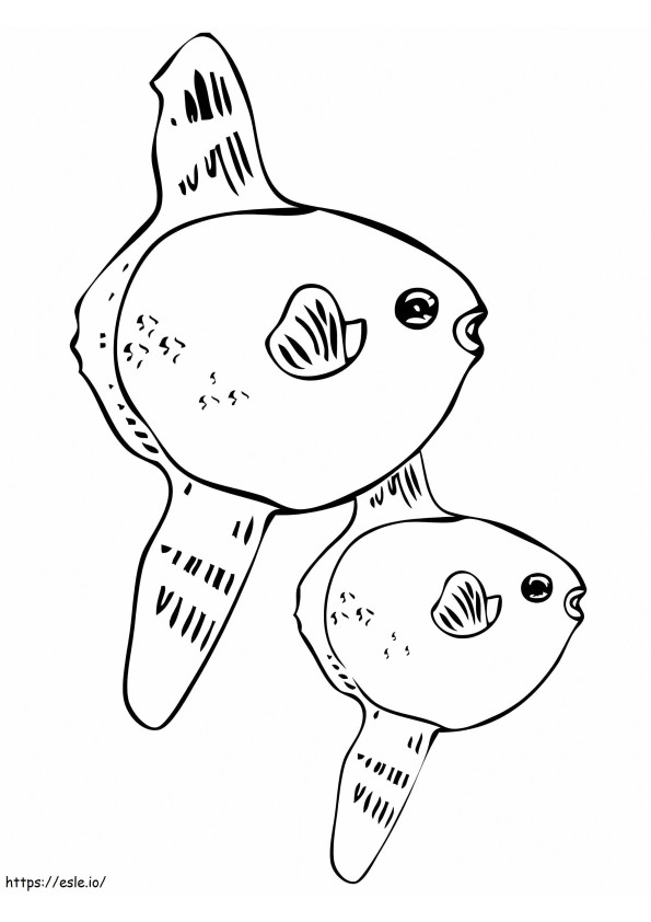 Sunfishes coloring page