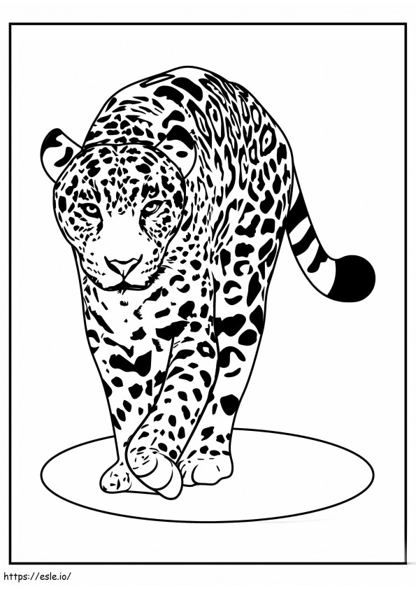 Cool leopardo caminando para colorear