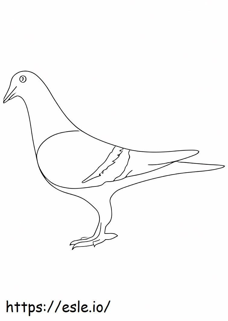 Coloriage Pigeon 4 à imprimer dessin