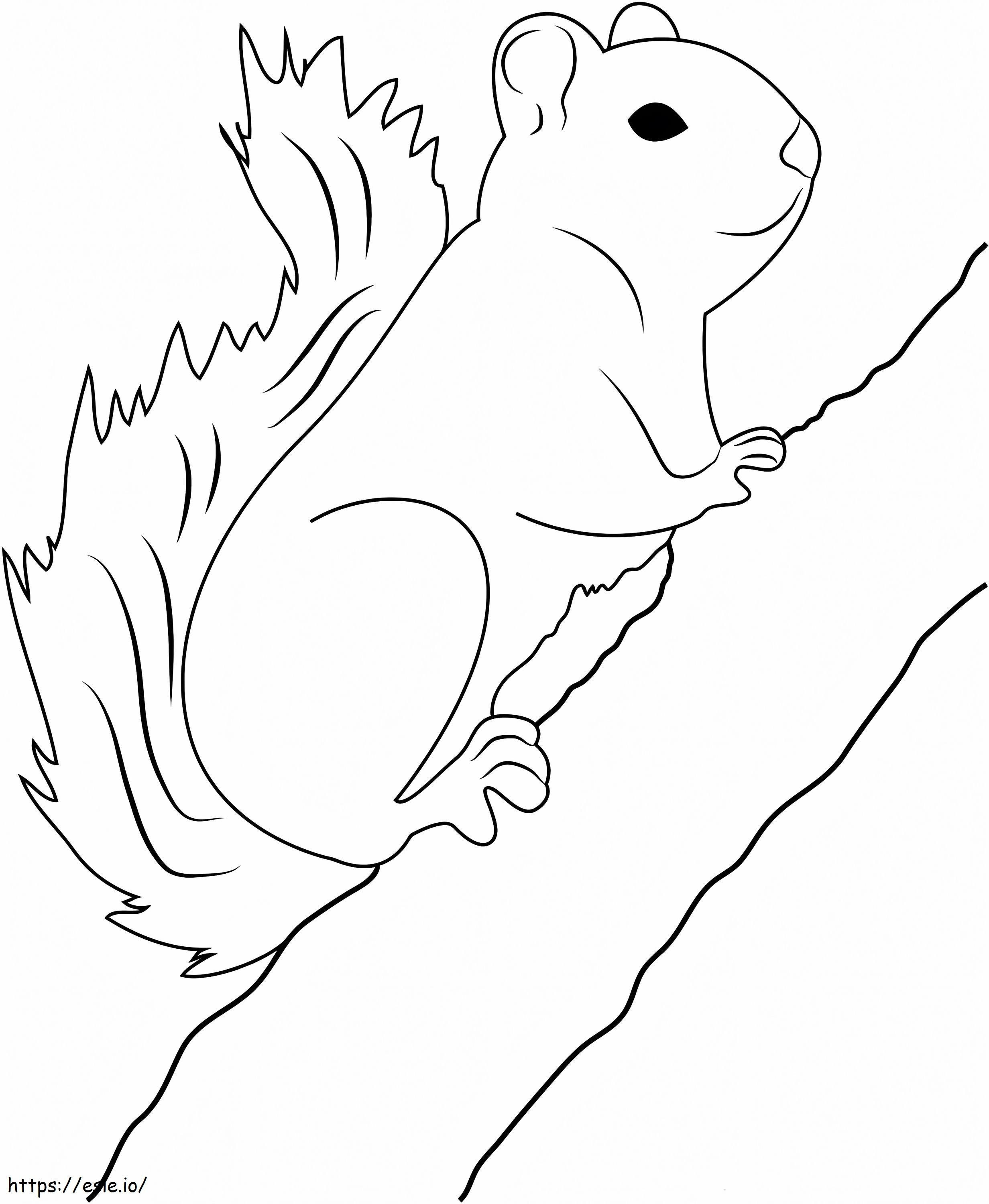 Squirrel Climbing Tree Branch coloring page