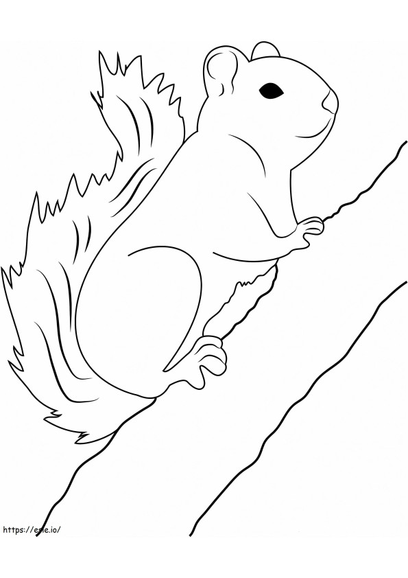 木の枝に登るリス ぬりえ - 塗り絵