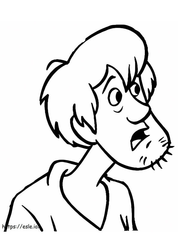 Cara Shaggy