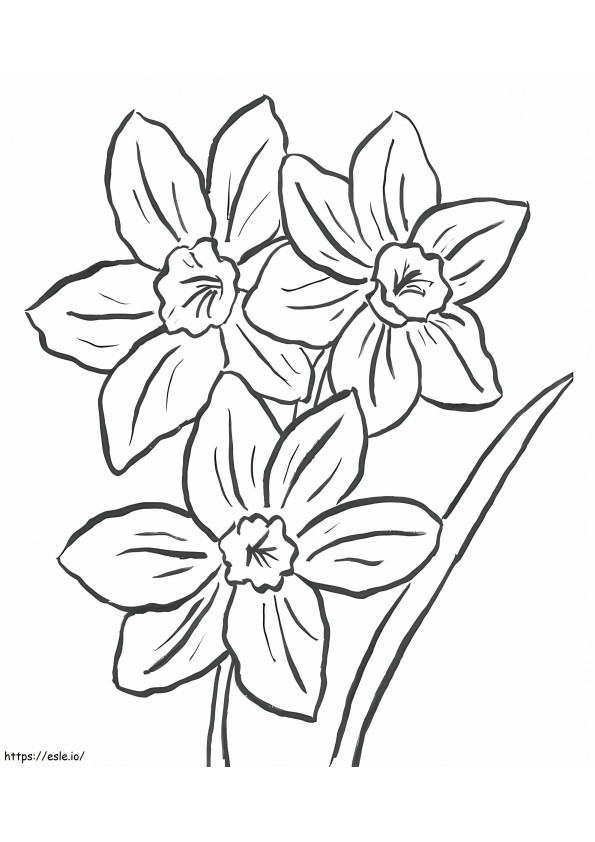 Three Daffodils coloring page