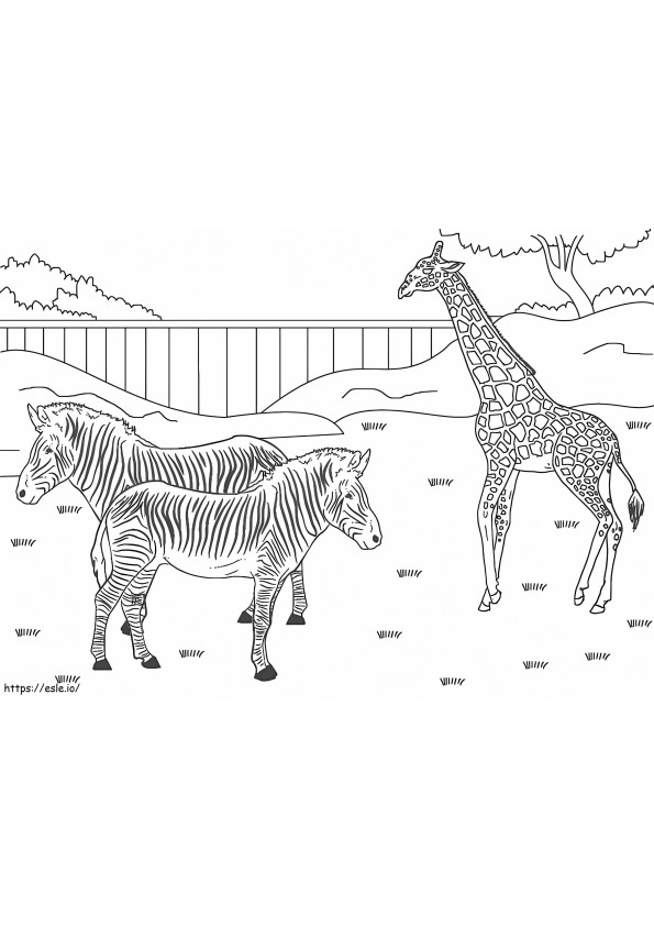 Coloriage Animaux du zoo pour enfant à imprimer dessin