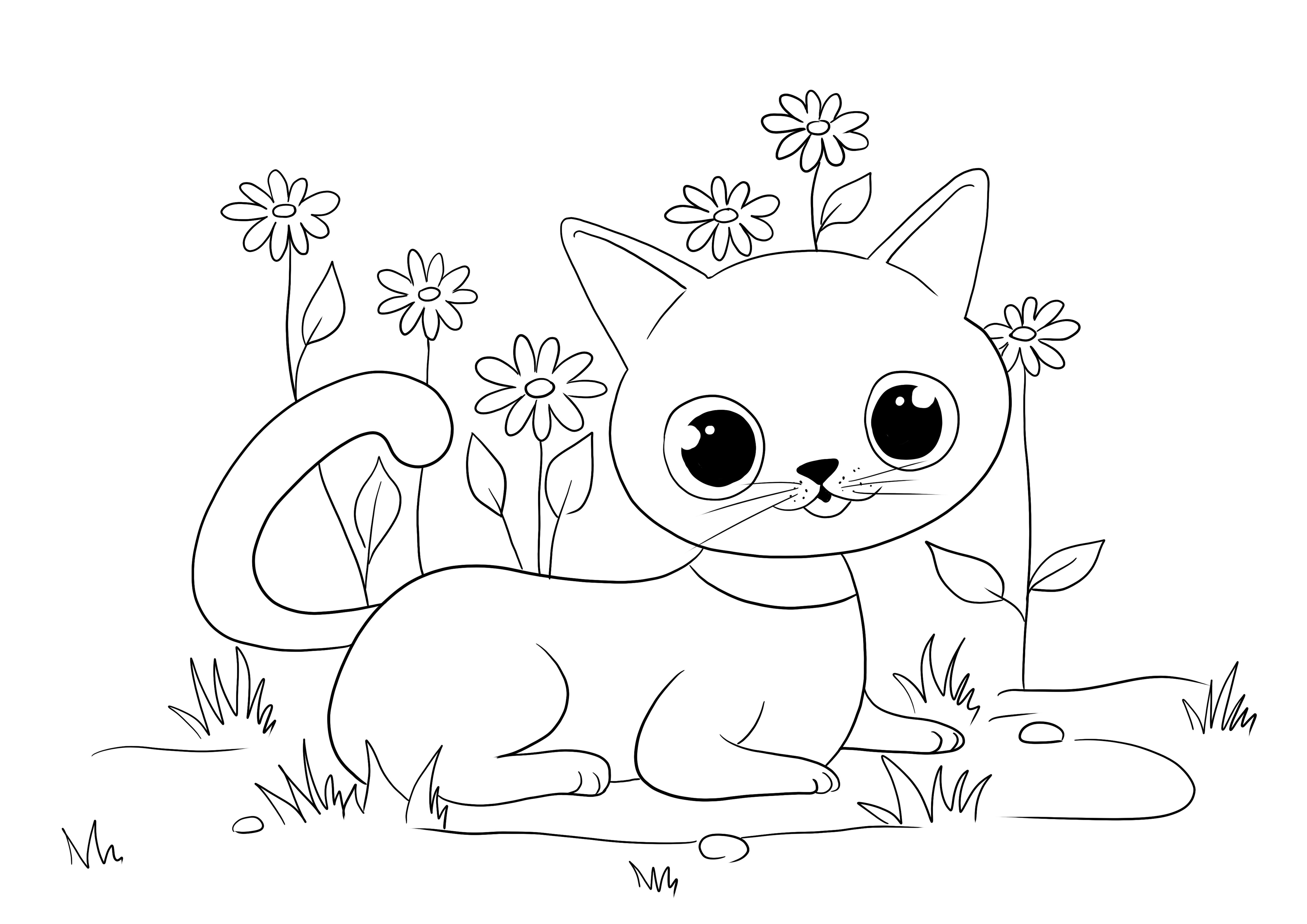 Black-eyed cat to download for free and color for kids