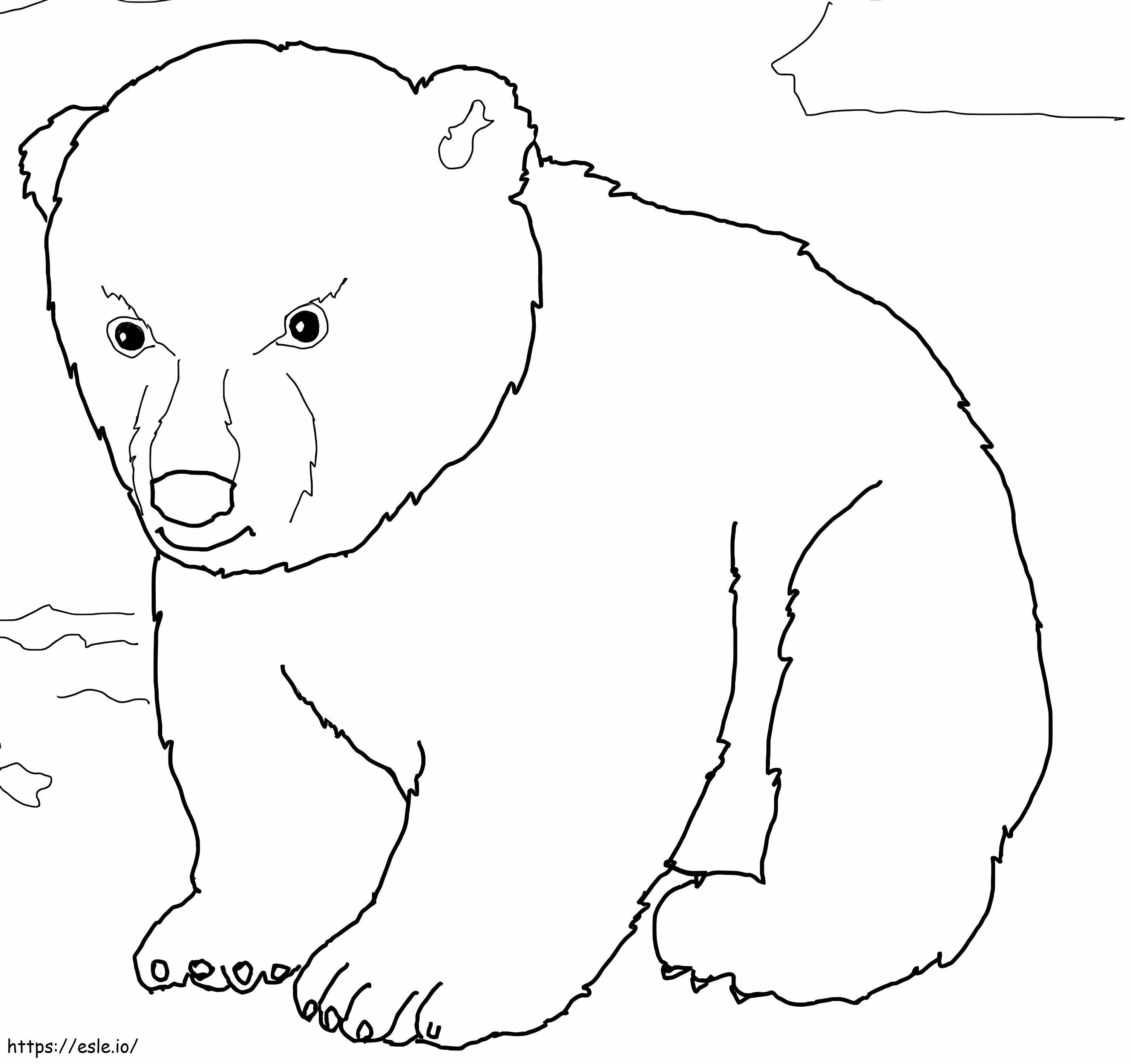 Cute Polar Bear Cub coloring page