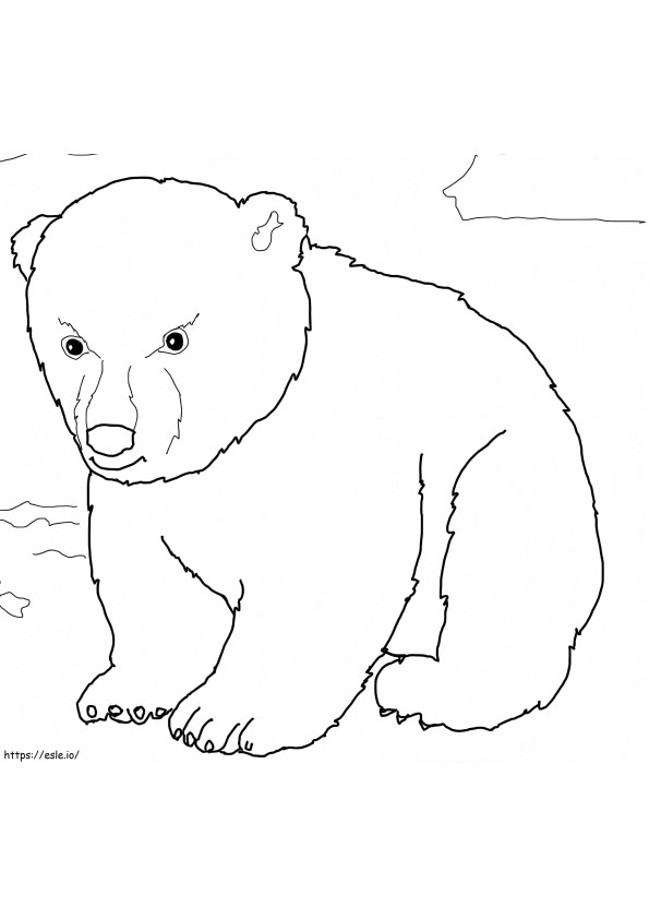Anak Beruang Kutub yang lucu Gambar Mewarnai