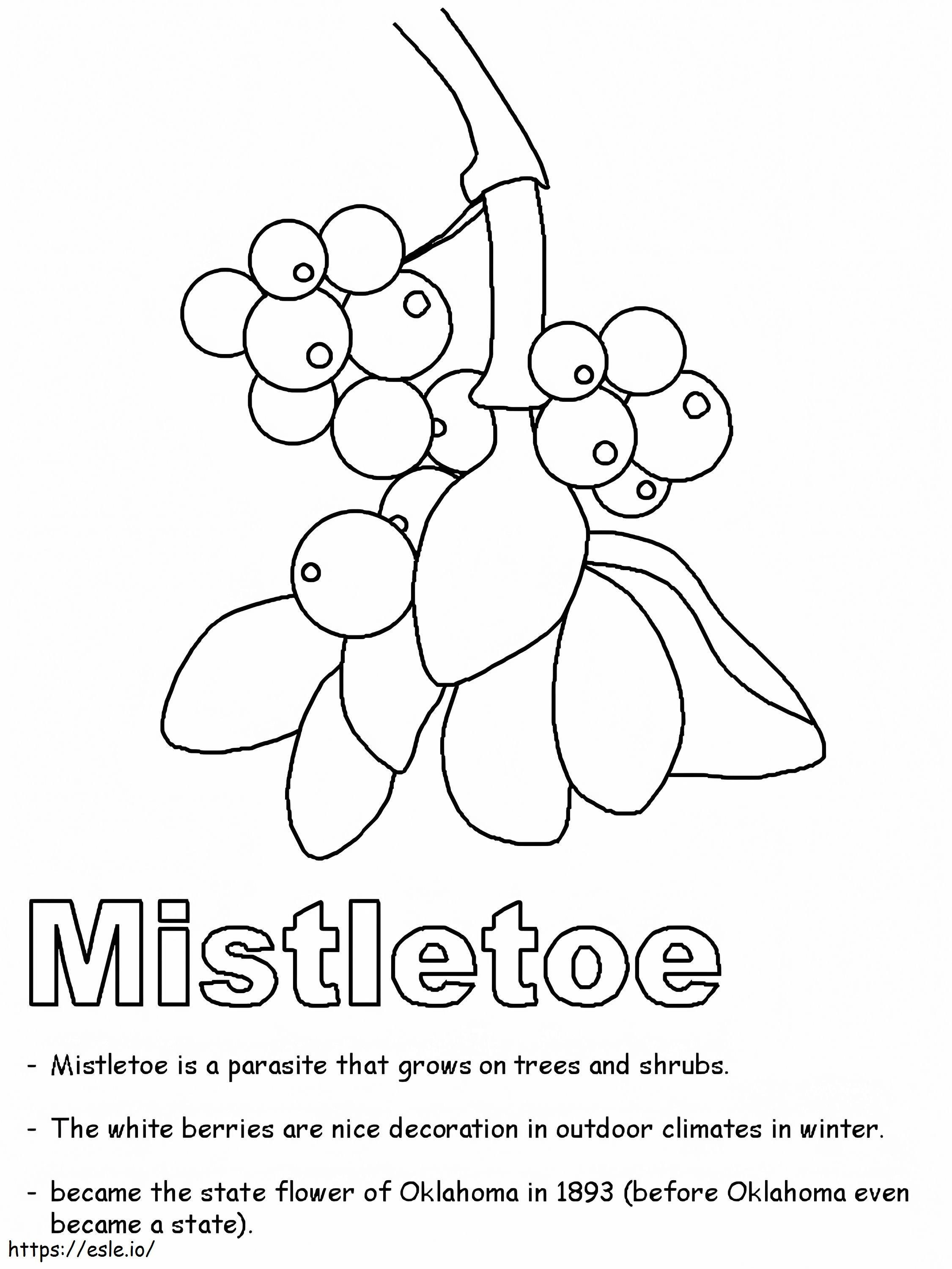 Mistletoe 6 Gambar Mewarnai