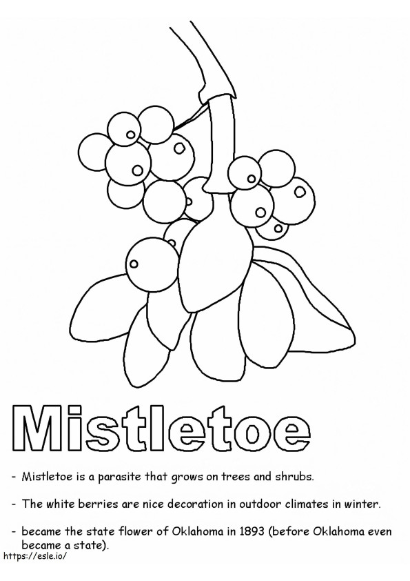 Mistletoe 6 coloring page