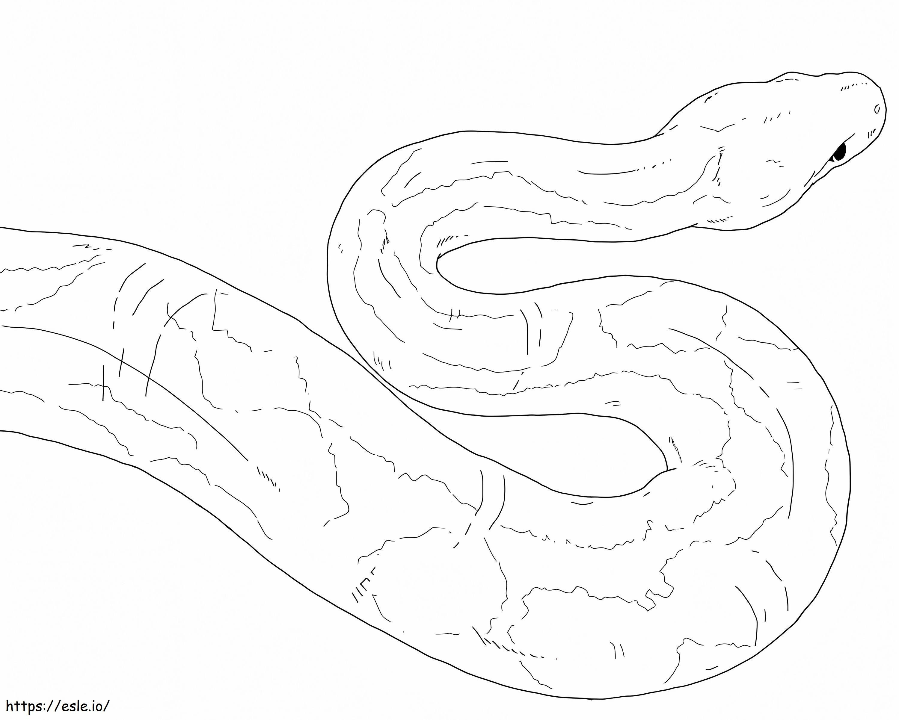 Coloriage Anaconda jaune à imprimer dessin
