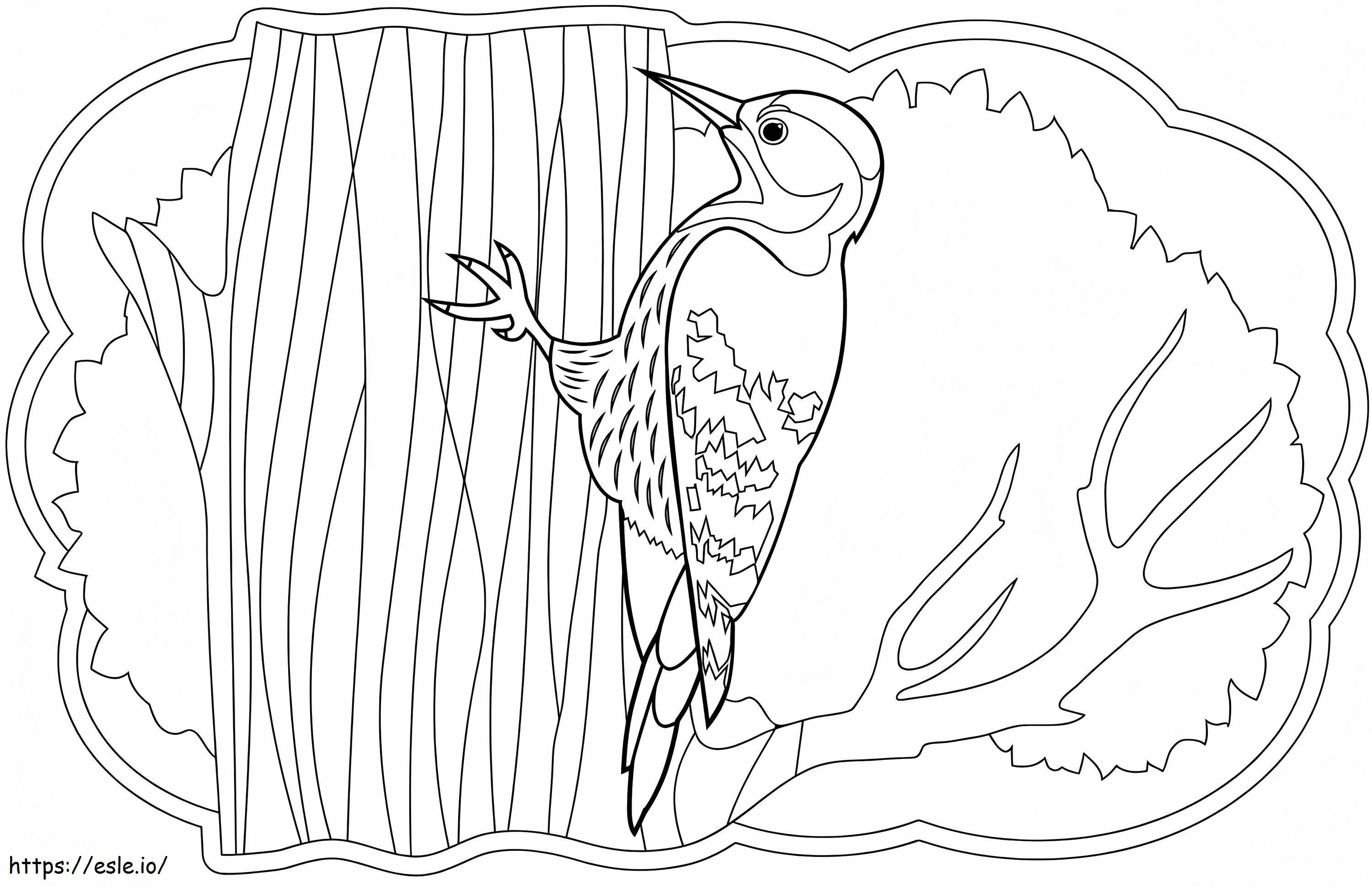 Normal Woodpecker coloring page