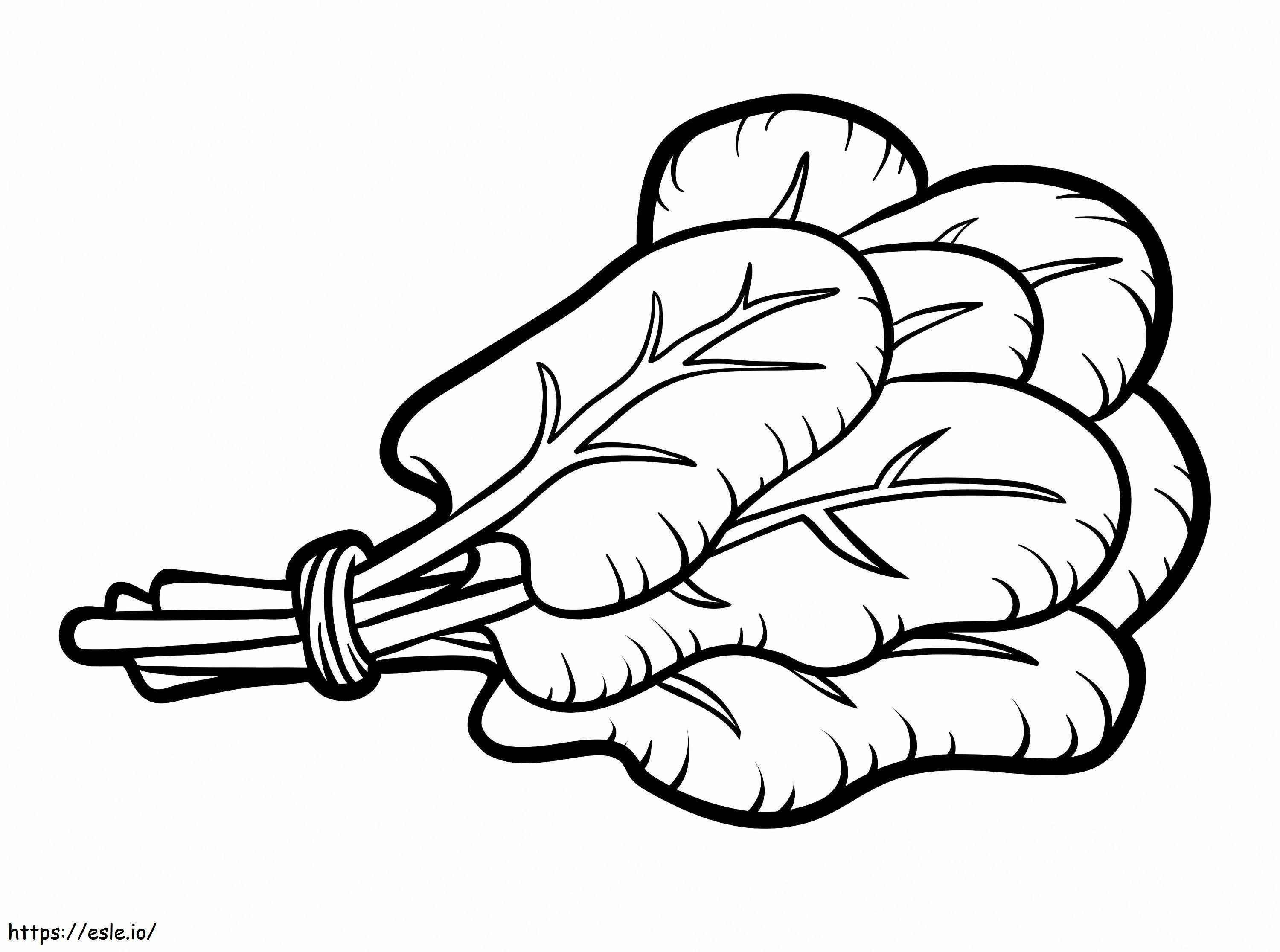 Spinach 4 coloring page