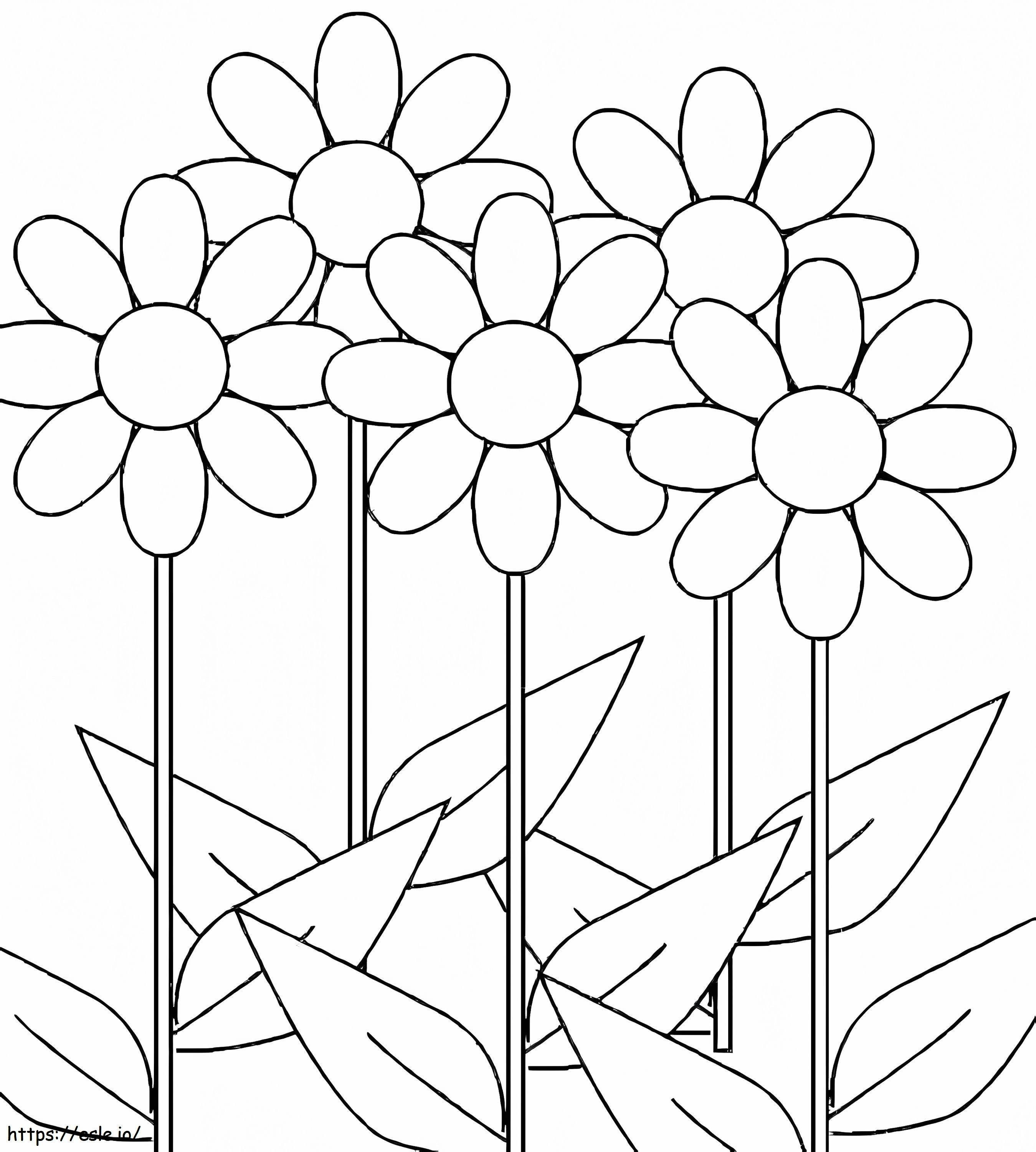 Five Daisy coloring page