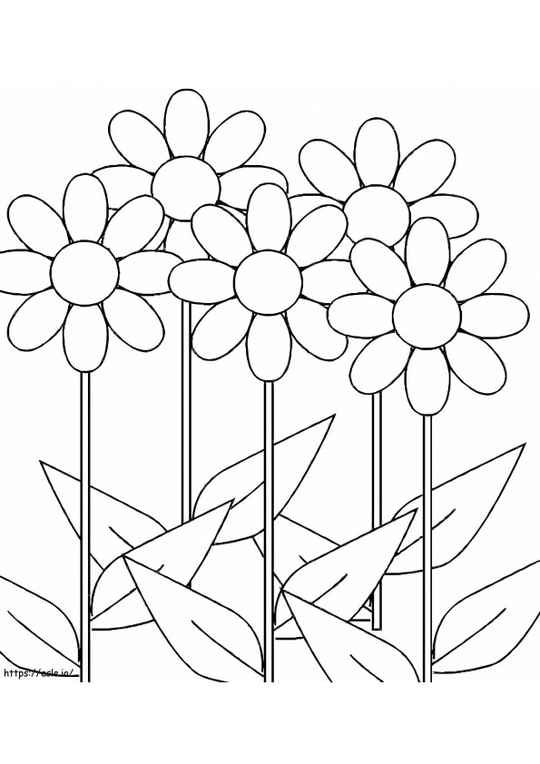 Five Daisy coloring page