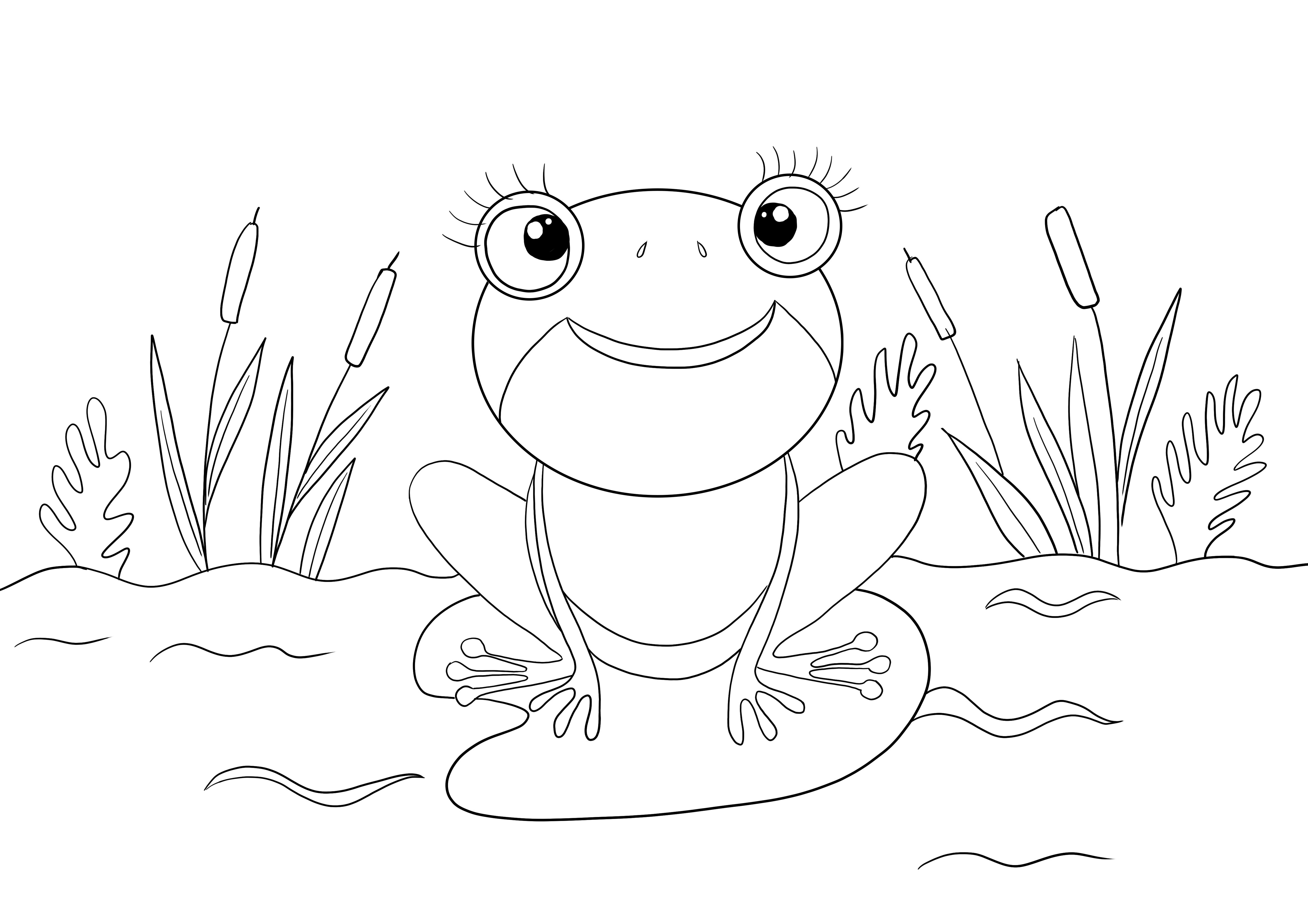 Cute frog free coloring and printing