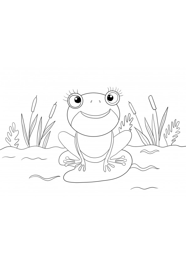 Cute frog free coloring and printing