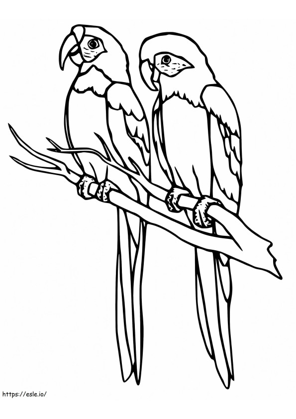 Parakeets On Branch coloring page