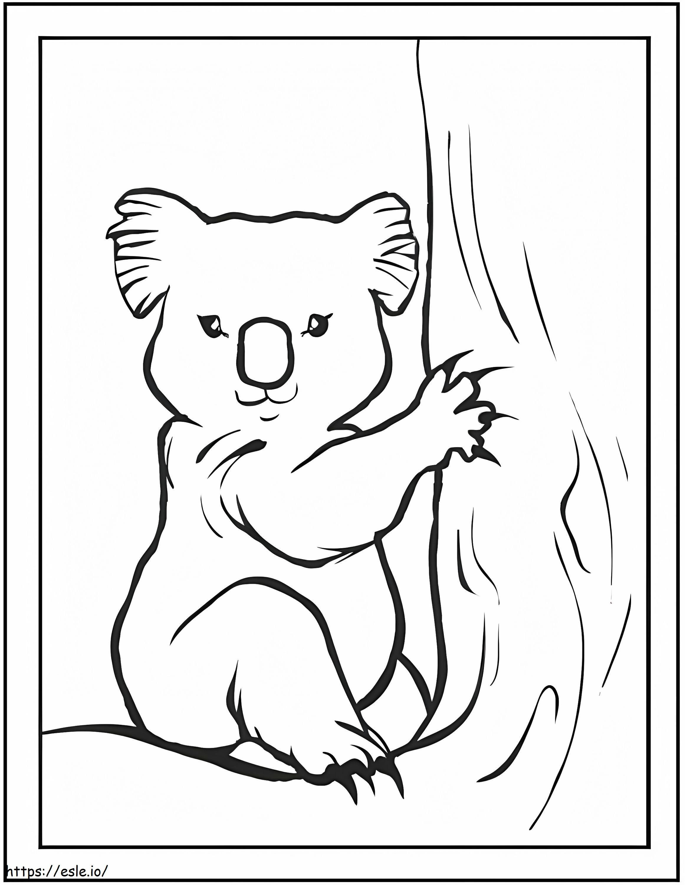 Big Koala coloring page