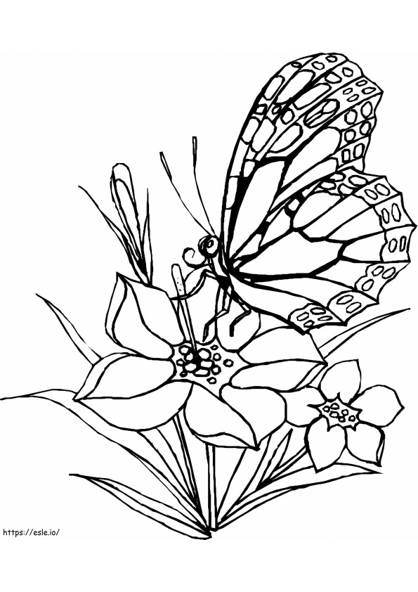 Coloriage Un papillon avec une fleur à imprimer dessin