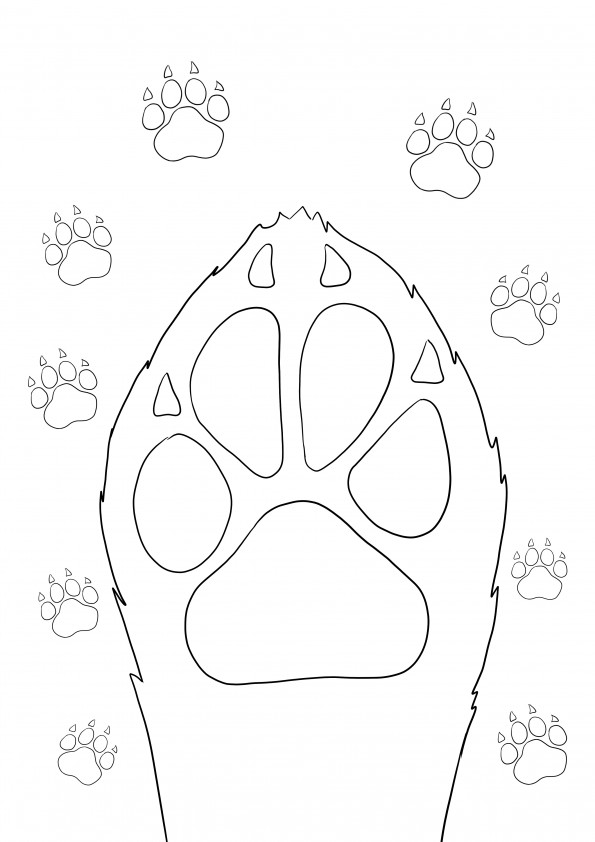 Free coloring of dog's paw and prints for kids
