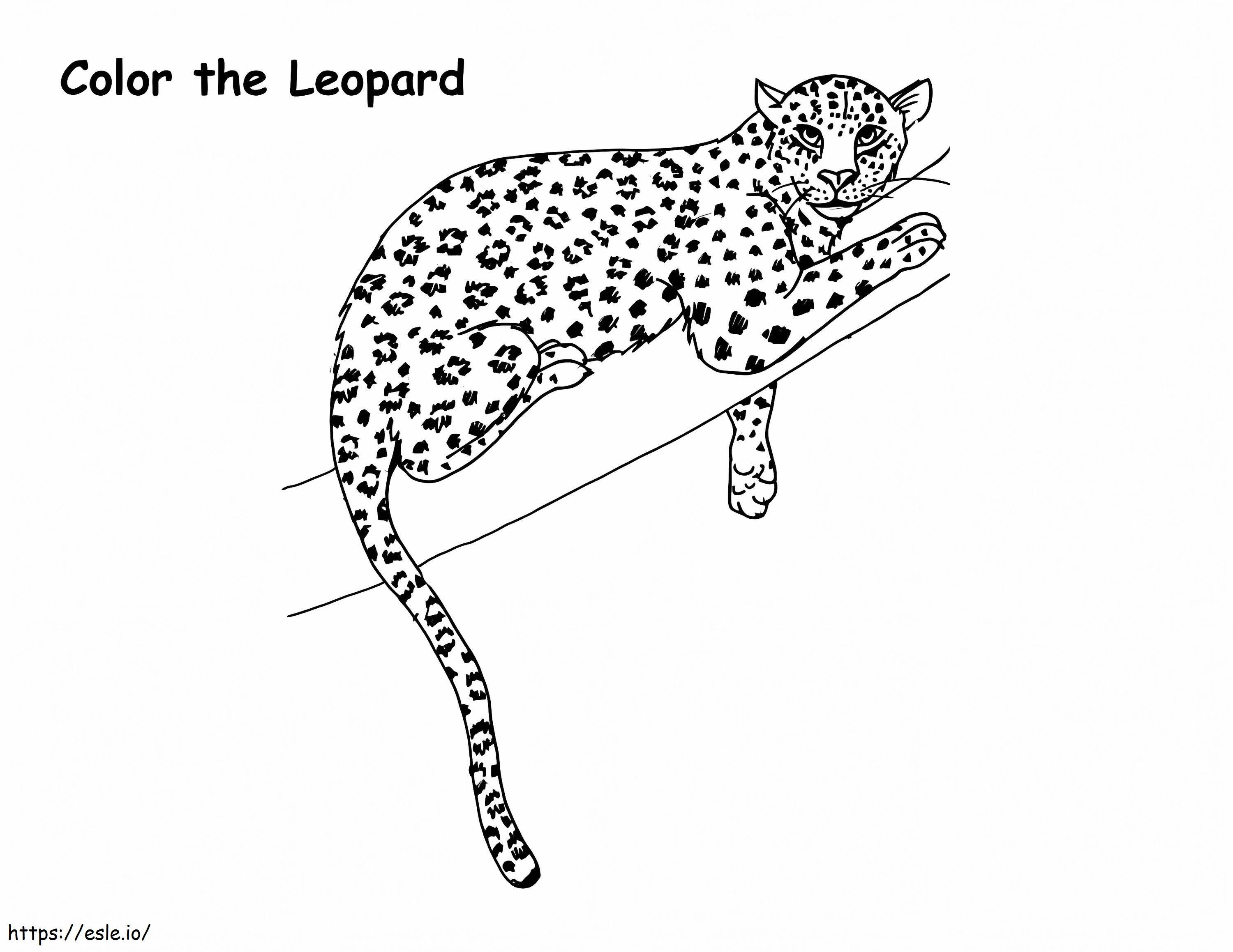 Leopardo en rama para colorear