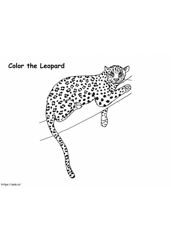 Leopardo no galho para colorir