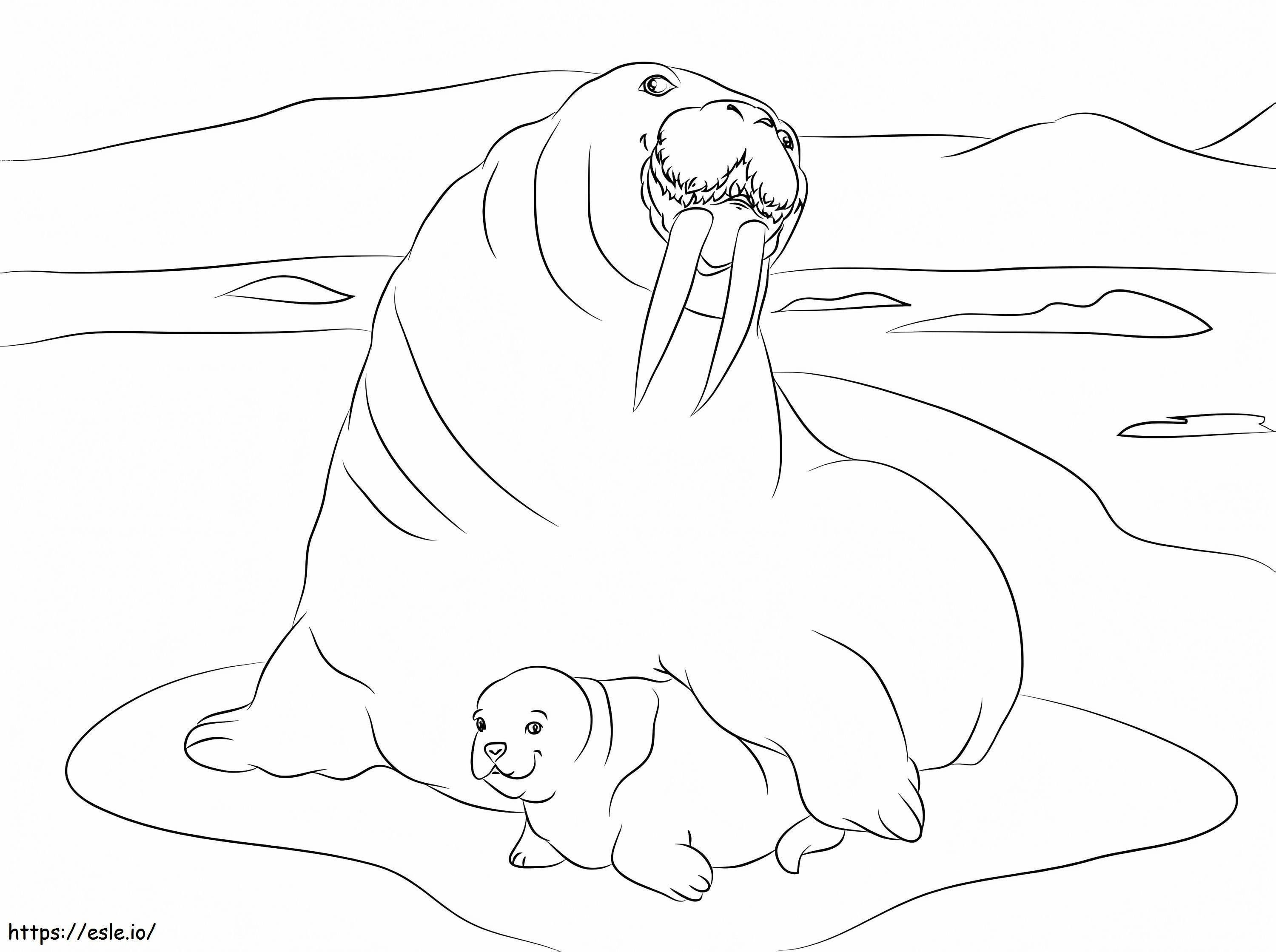 Mother And Baby Walrus coloring page