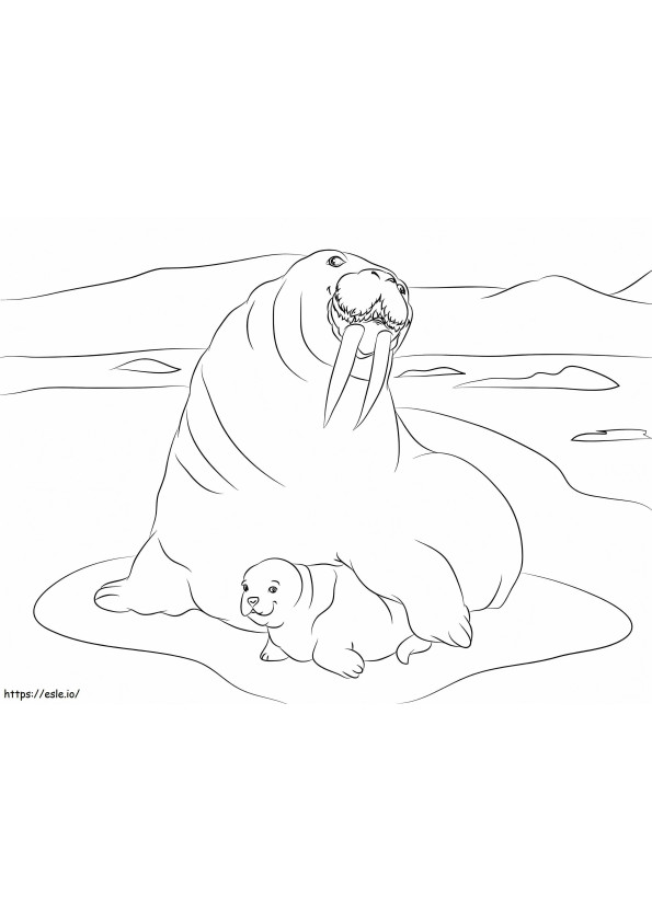 セイウチの母親と赤ちゃん ぬりえ - 塗り絵