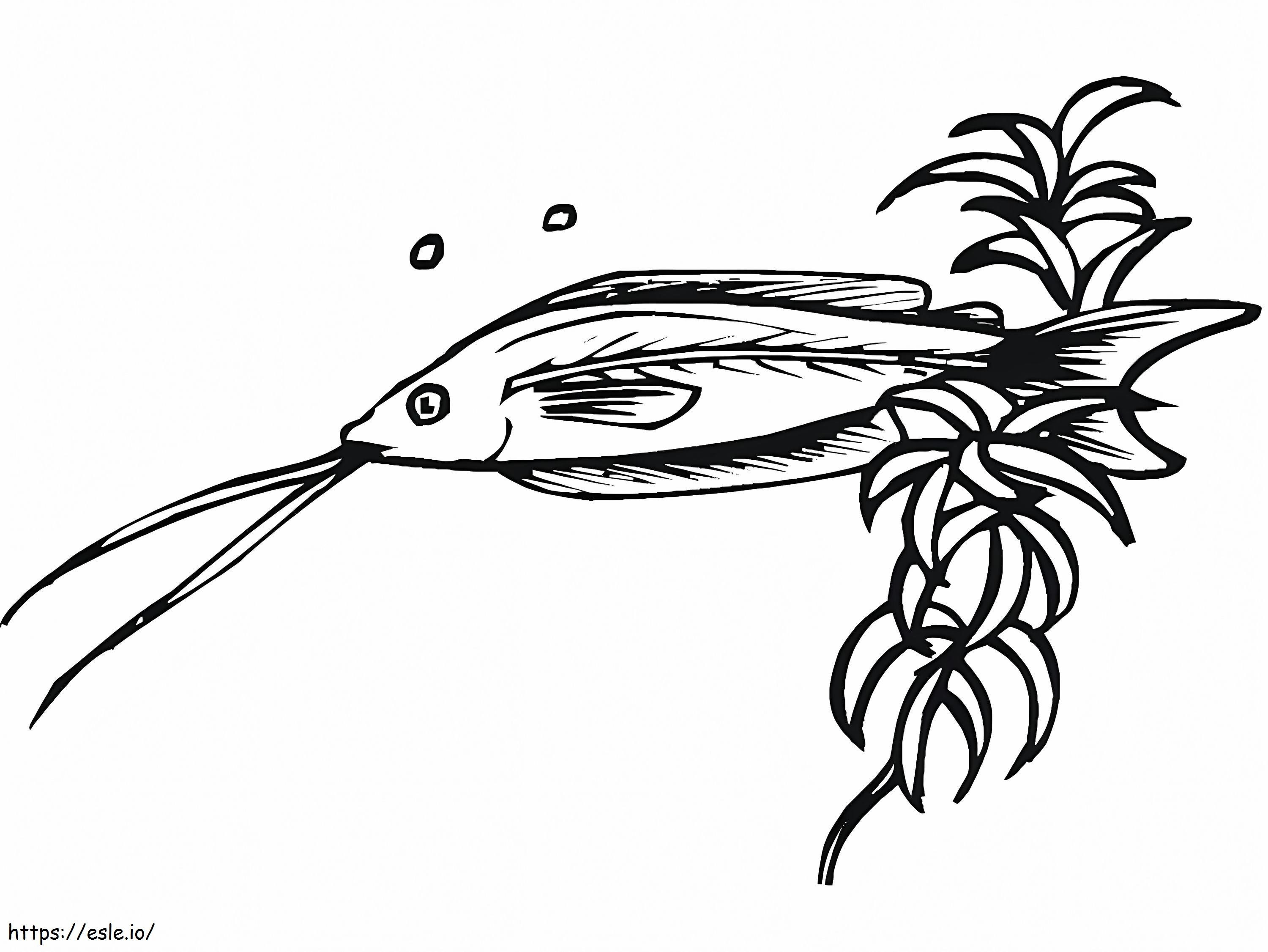 The Spine Chilling Secret Of Catfish Anatomy - 52s6hu3