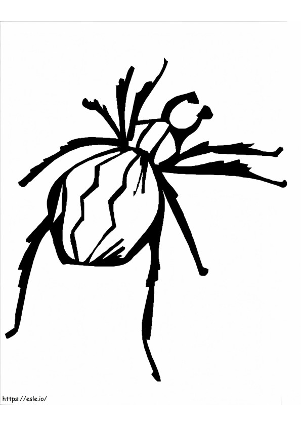 Spider 5 coloring page