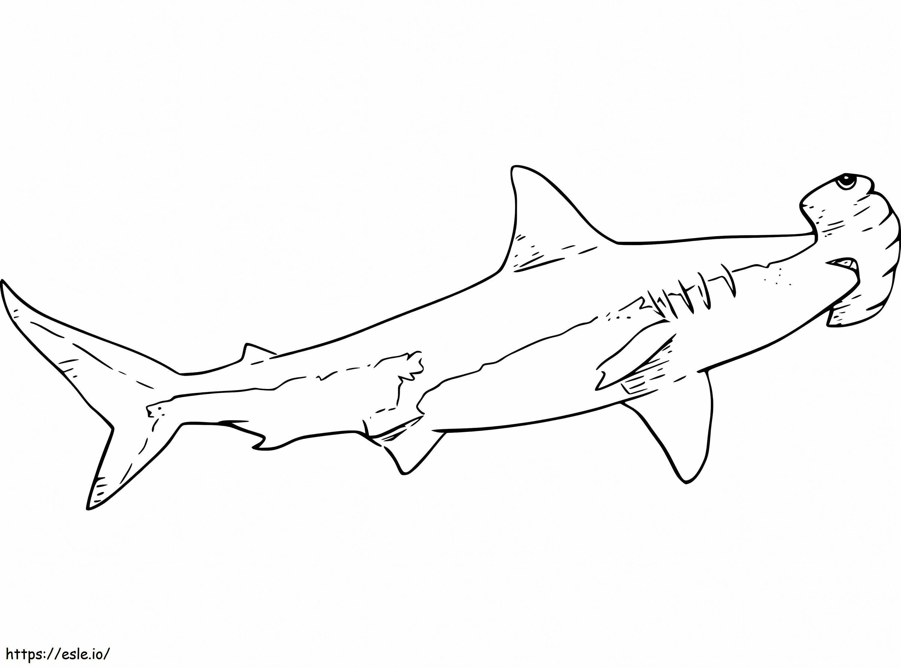 Coloriage Requin marteau 7 à imprimer dessin
