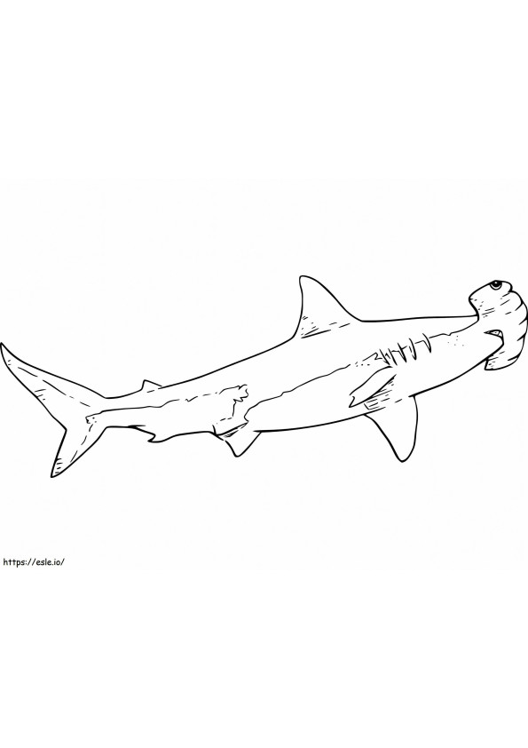 Tiburón martillo 7 para colorear