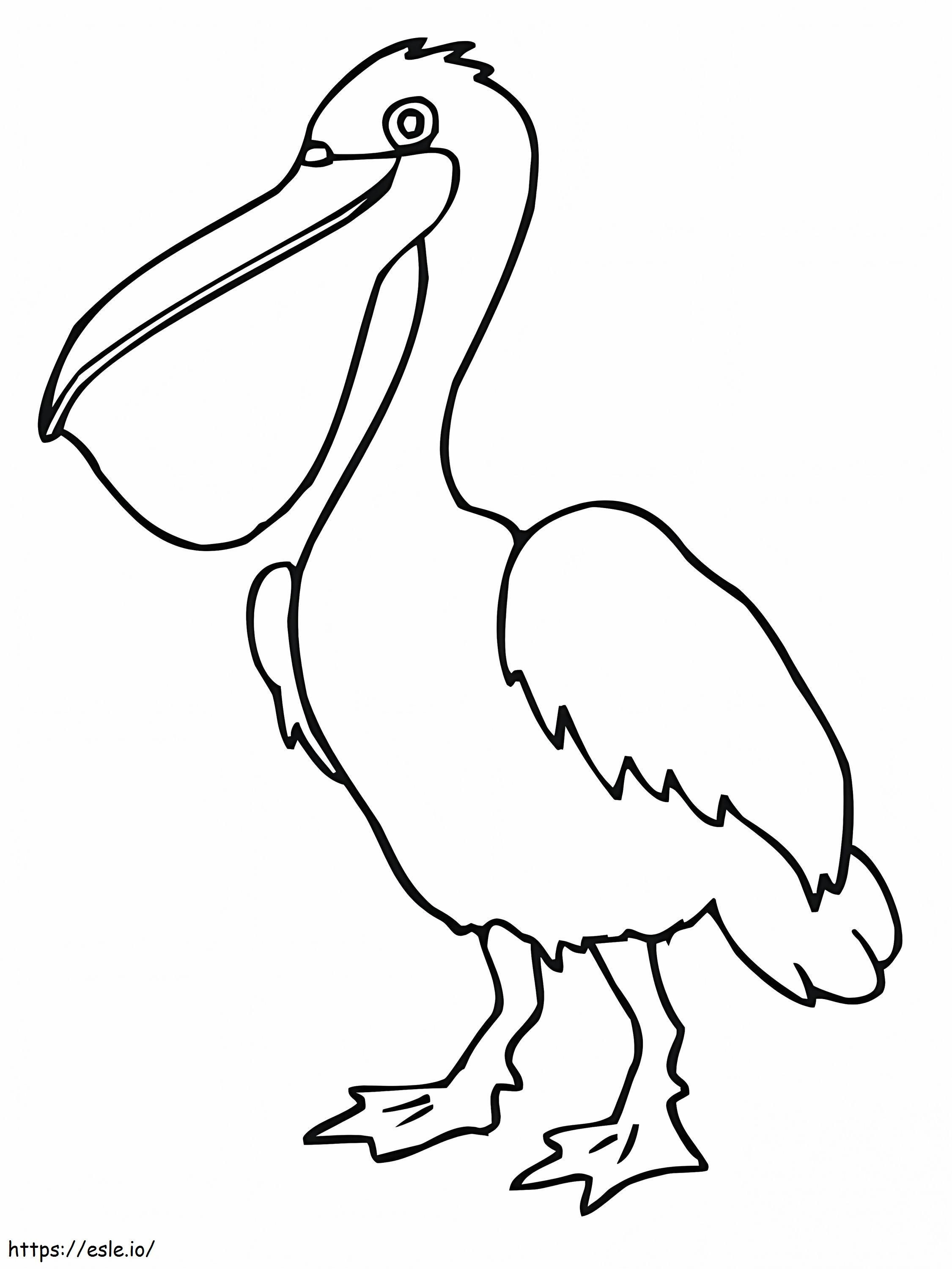 Pelicano normal para colorir