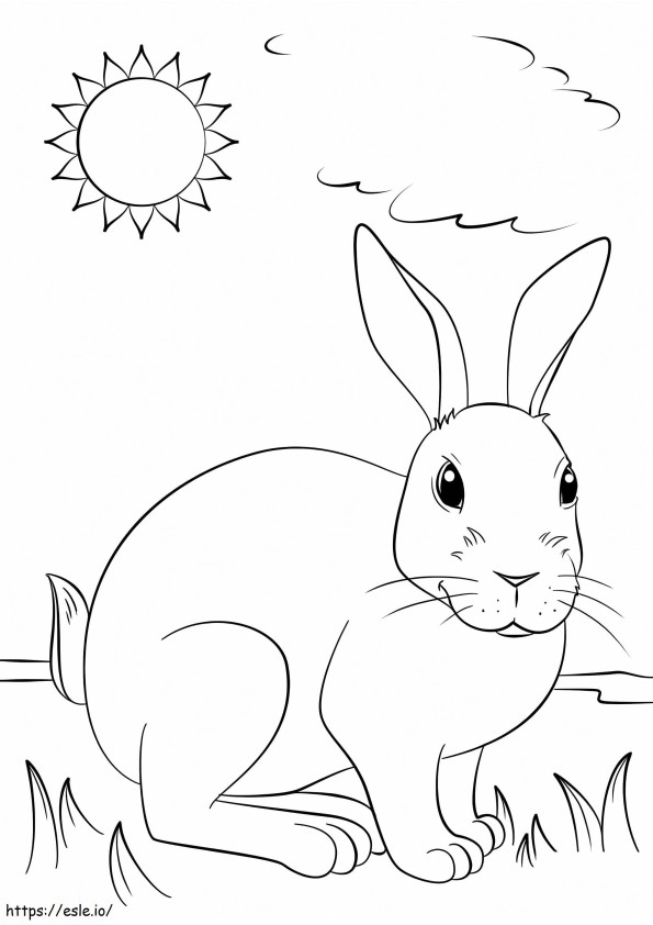 Cute Rabbit On Grass coloring page