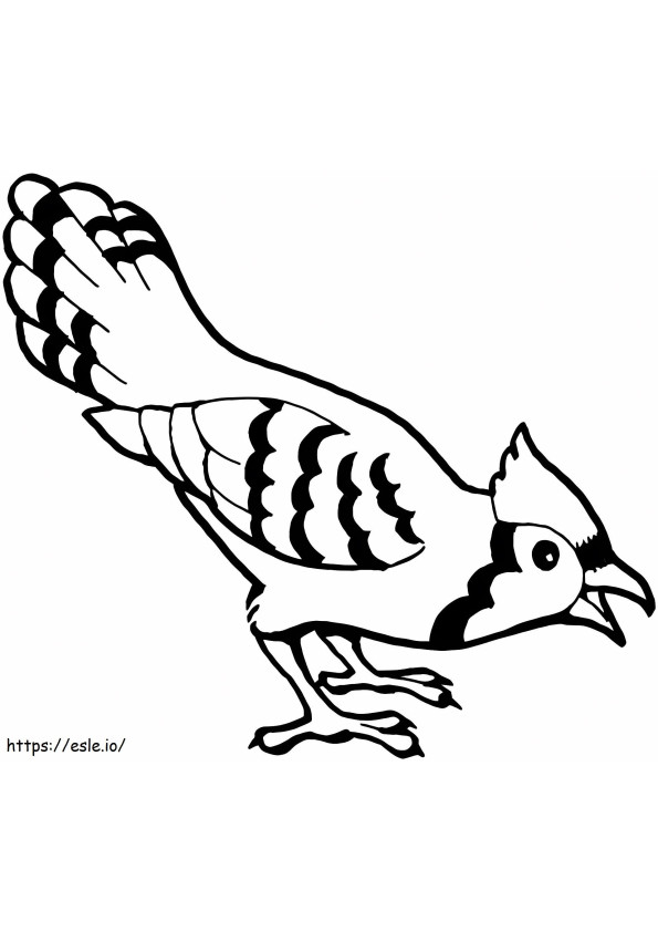 Coloriage Jay oiseau de base à imprimer dessin