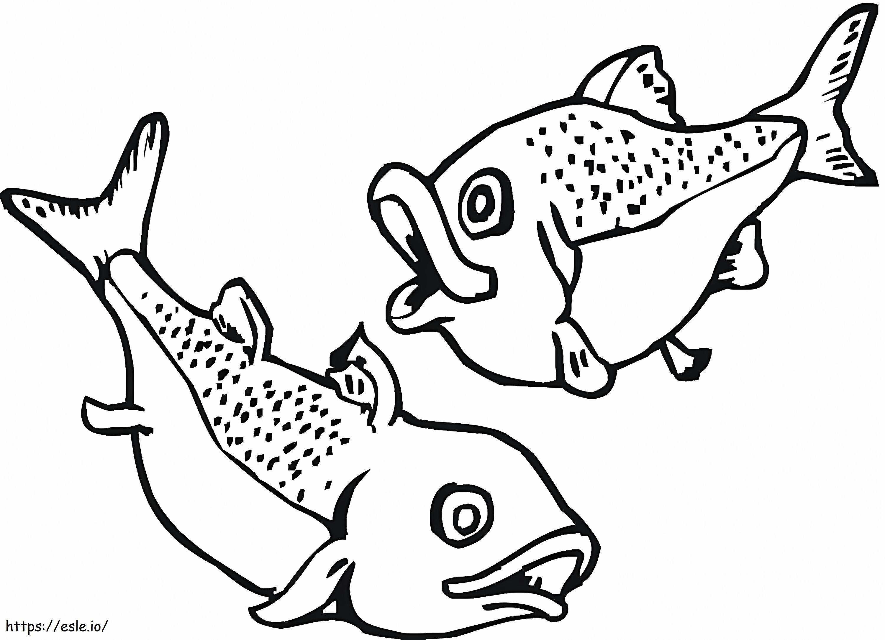 Funny Salmons coloring page