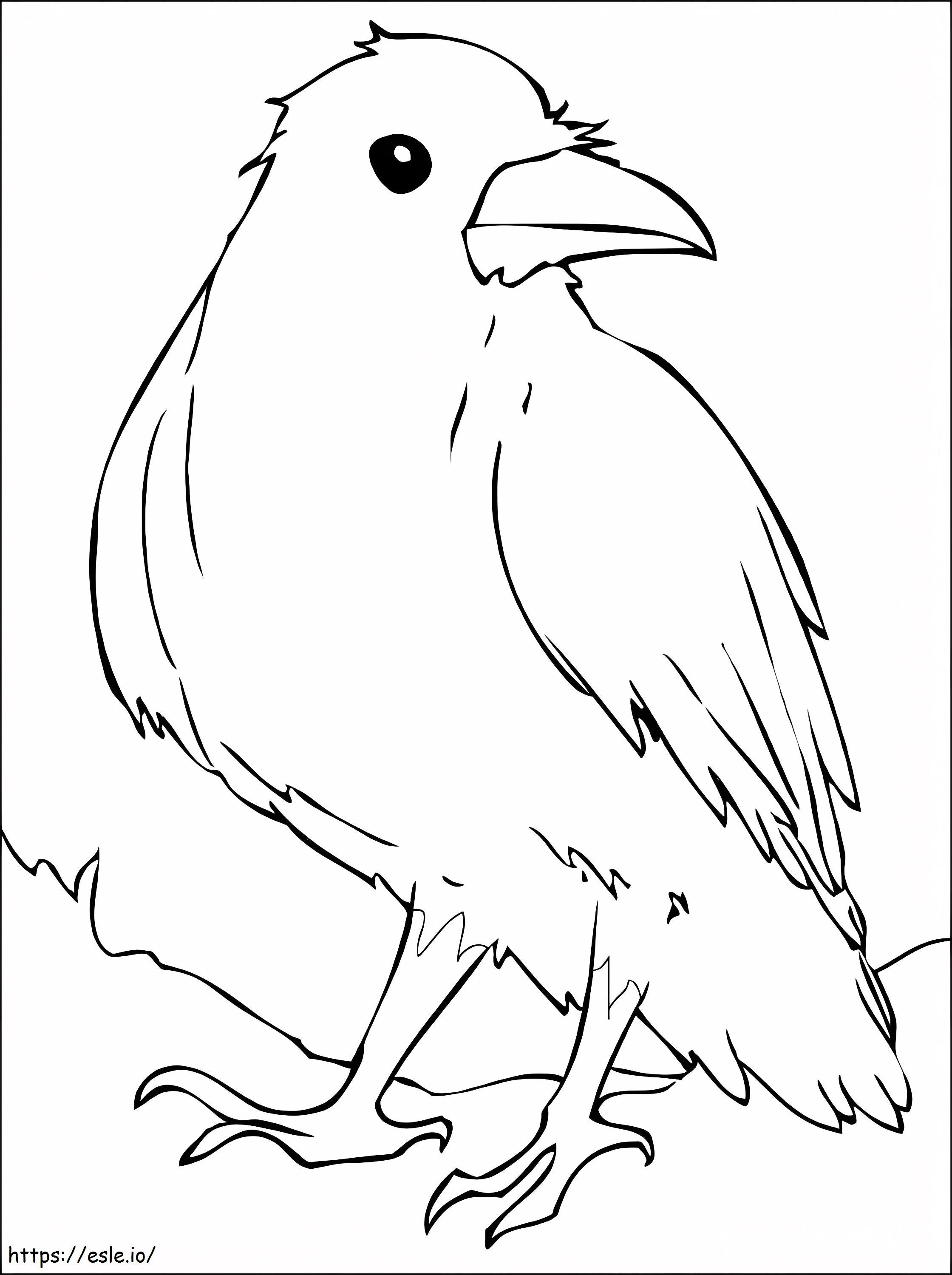 Coloriage Corbeau gratuit à imprimer dessin
