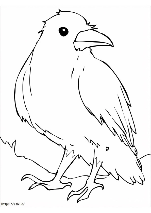 Coloriage Corbeau gratuit à imprimer dessin