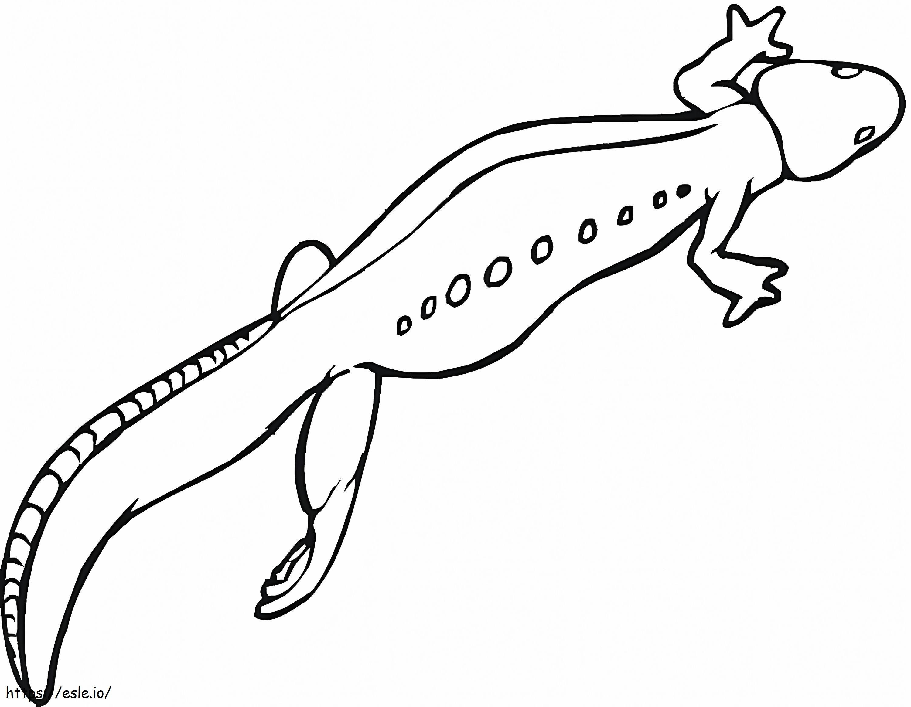 Salamander 2 Gambar Mewarnai