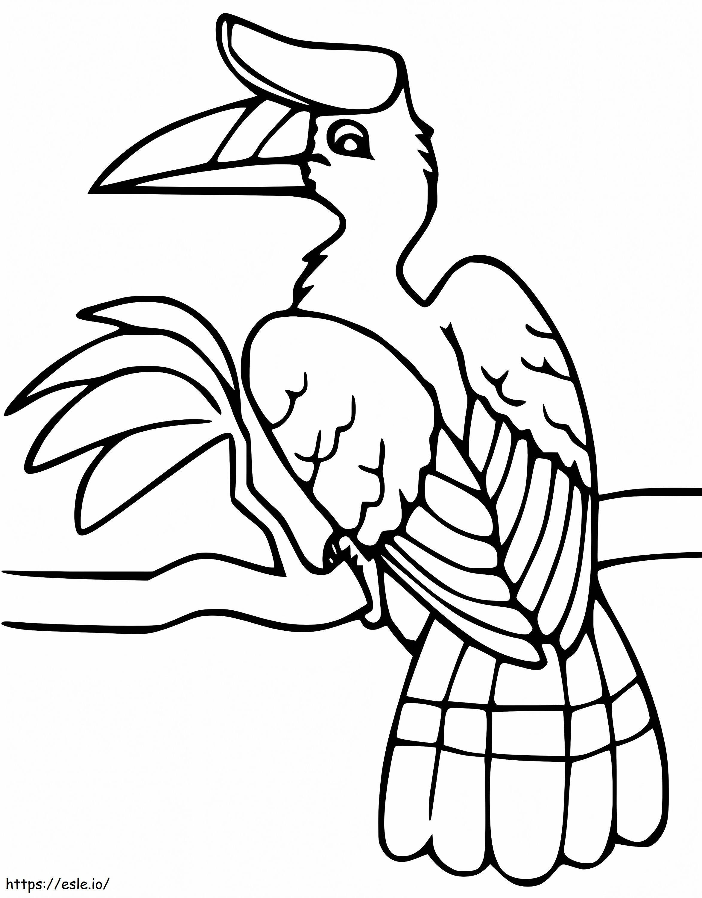 Rhinoceros Hornbill 4 coloring page