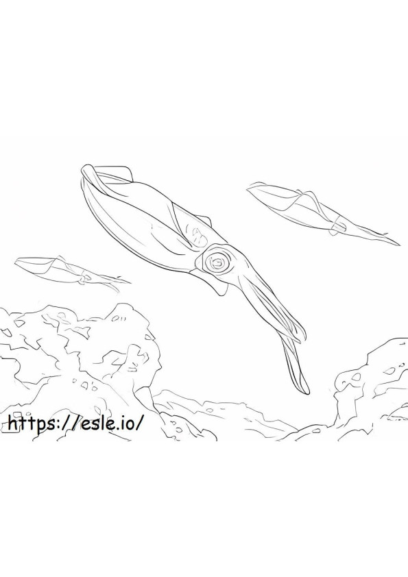 Swimming Squid coloring page