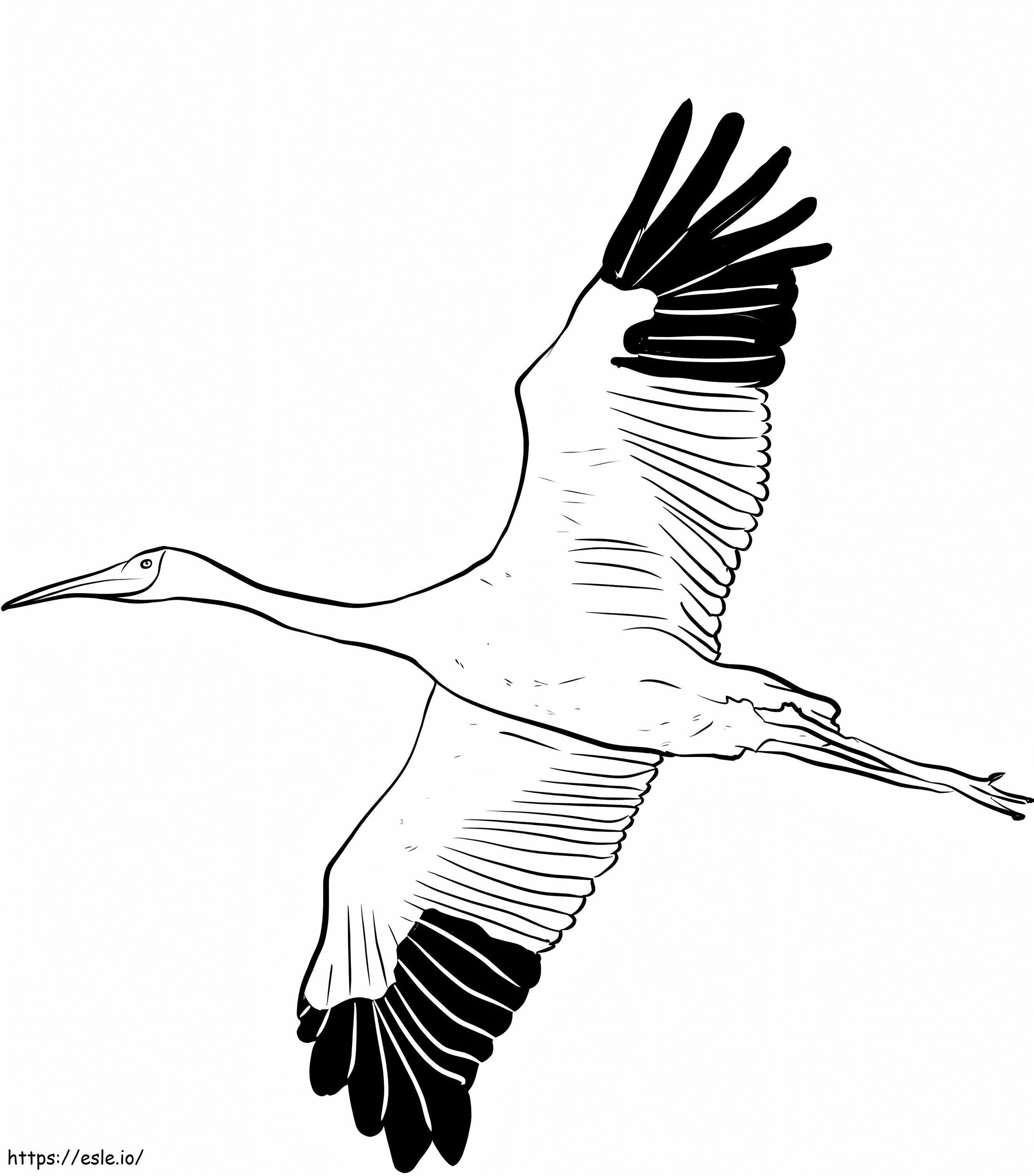 Grulla siberiana para colorear