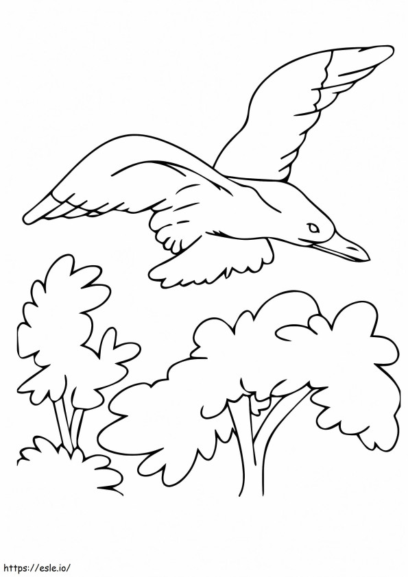 1526459079 Gaviota Pata Amarilla A4